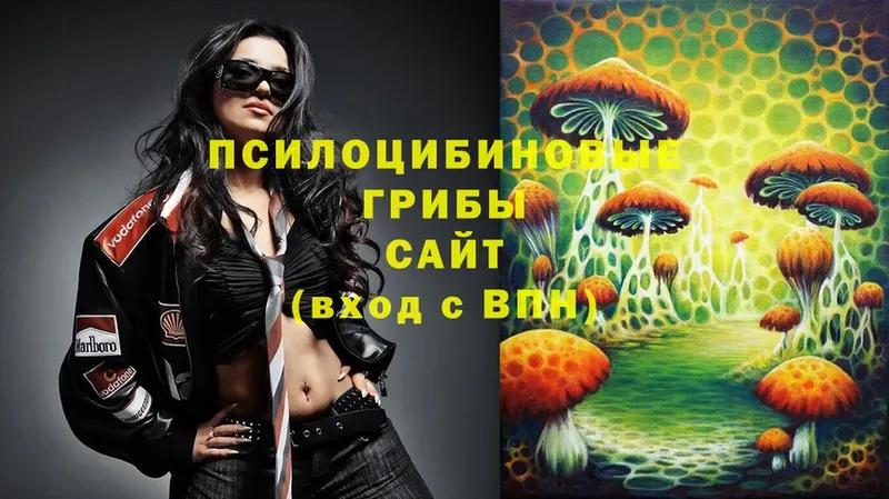 Псилоцибиновые грибы Magic Shrooms  Смоленск 